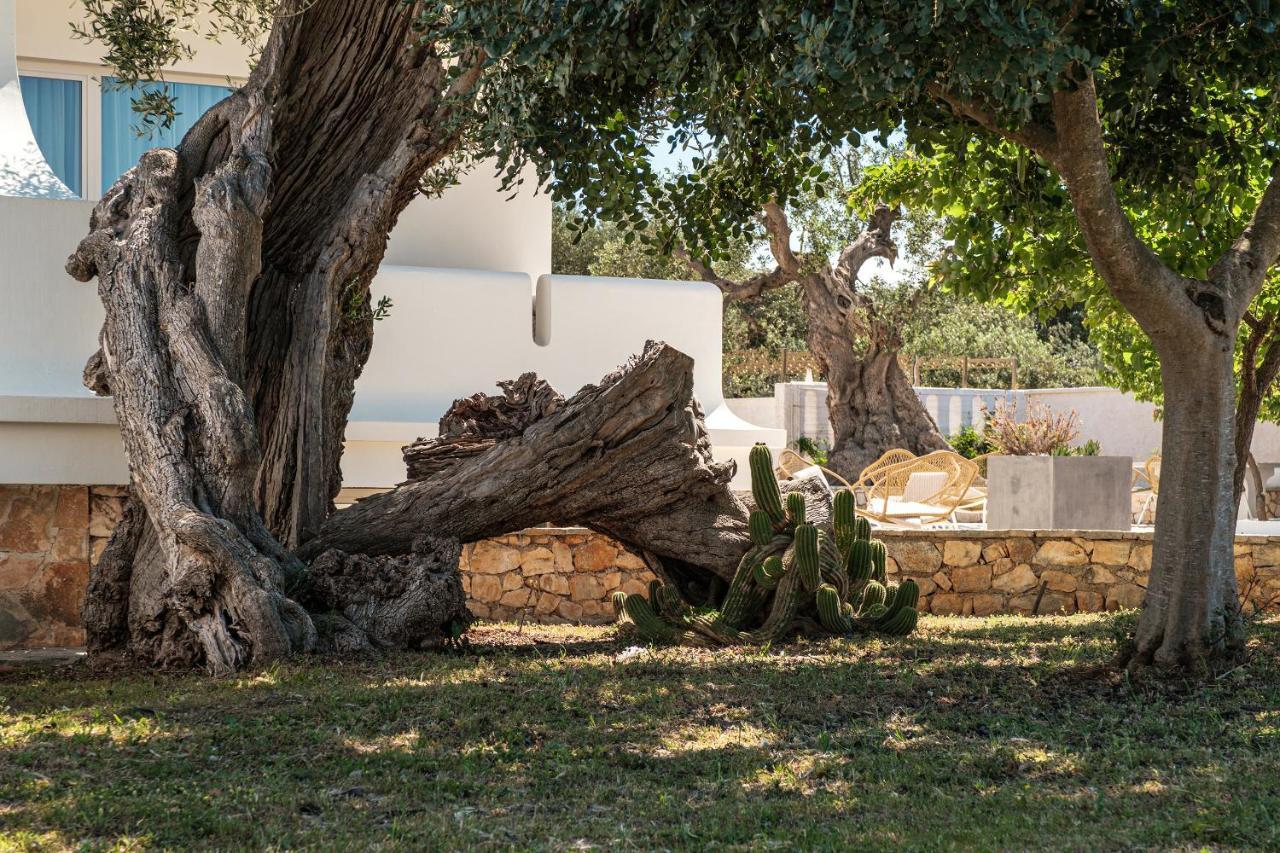 Villa Al Mare Sea, Relax & Wellness 莫诺波利 外观 照片
